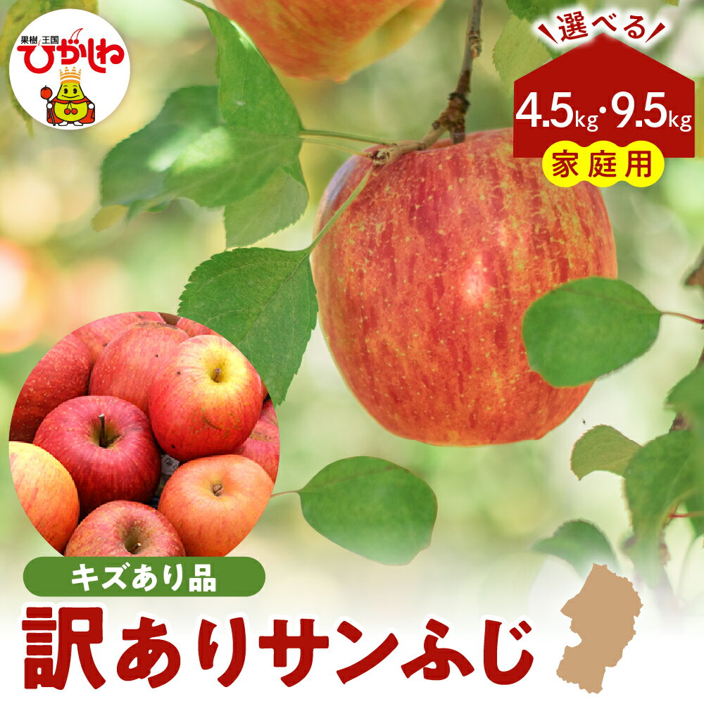 【ふるさと納税】 令和7年産 訳あり りんご サンふじ (選べる : 4.5kg / 9.5kg )/ リンゴ アップル さんふじ 家庭用 規格外 不揃い フルーツ 果物 くだもの 化粧箱 期間限定 産地直産 ご当地 お取り寄せグルメ 送料無料 国産 東北 山形県 東根市