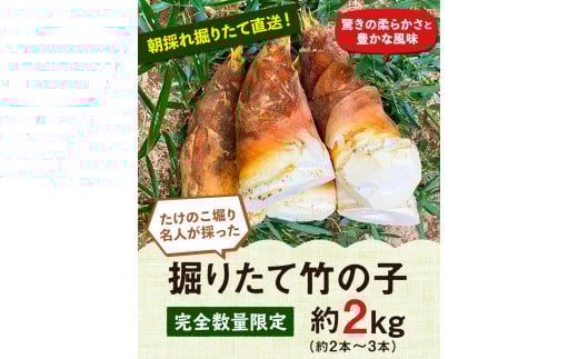 【2026年3月先行予約】掘りたて たけのこ 2kg タケノコ 竹の子 《2026年3月上旬-4月下旬頃出荷》 有限会社ニシムラ---mifune_nsm_1_2kg---st-p