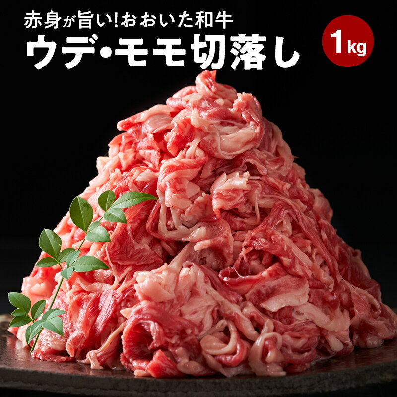 【ふるさと納税】赤身が旨い！おおいた和牛ウデ・モモ切落し1kg