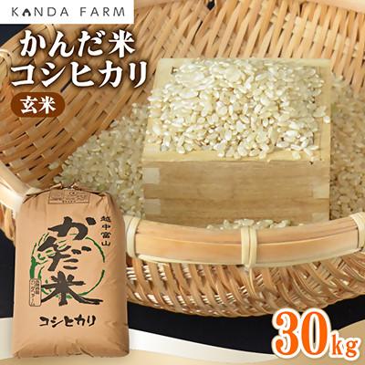 ふるさと納税 小矢部市 【令和7年産】鮮度の米　かんだ米『コシヒカリ』玄米　30kg×1袋