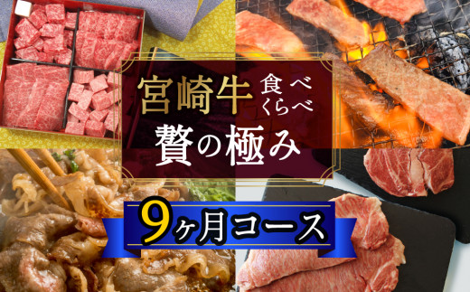 
＜宮崎牛＞食べ比べ贅の極み 9ヶ月コース【G21】
