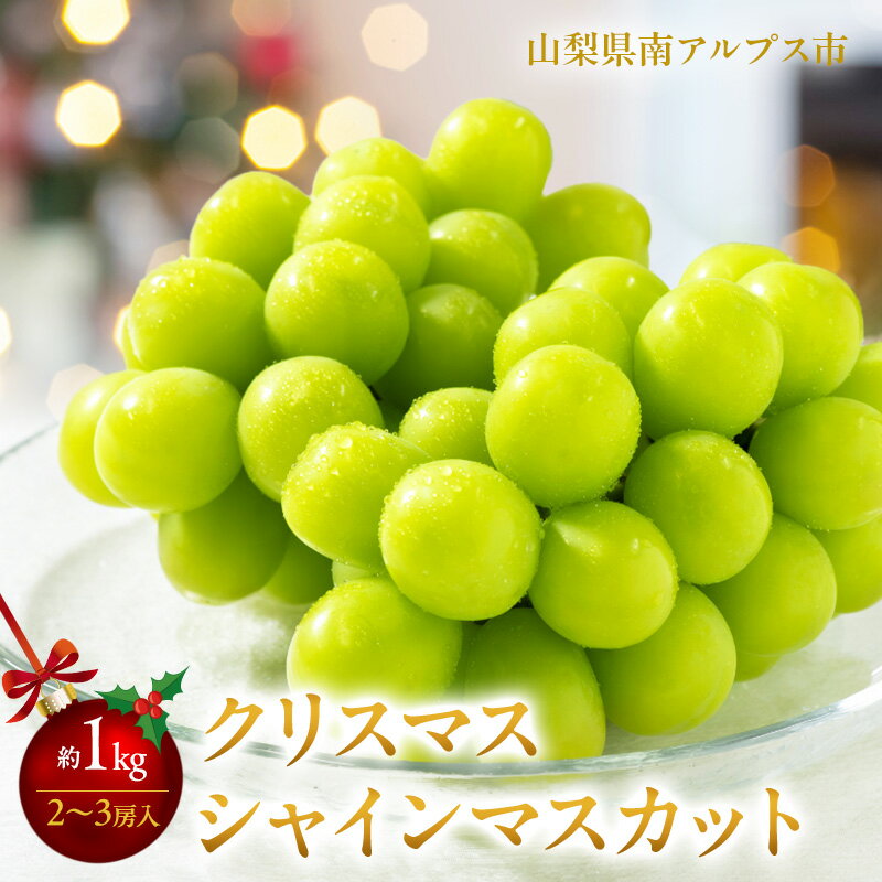 【ふるさと納税】 ＜2025年発送分先行予約＞冬季限定！！山梨県南アルプス市産　クリスマスシャインマスカット　約1.0kg 2〜3房入り ふるさと納税 シャインマスカット マスカット 冬発送 果物 フルーツ おすすめ 山梨県 南アルプス市 送料無料 ALPAH002