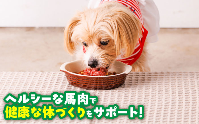 【全3回定期便】国内加工 ペット用 馬肉 切り落とし 約1kg / ペットフード ドッグフード 愛犬 馬肉 生食 加熱 ペット用 【五右衛門フーズ】 [BHCY054]