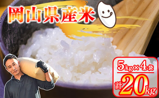 
令和6年産 先行予約 岡山県産米 20kg(5kg×4袋) / 関連キーワード くらしき米米 10kg 5kg 15kg 令和5年産 米 9月発送 令和6年産 岡山県産 朝日 白米 分付き米 5分付き 7分付き 美味しいお米 【202406_感想が良い】米/
