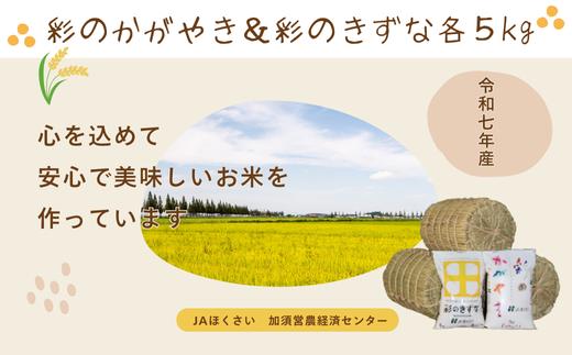 
                  【令和７年産】加須市産　彩のかがやき・彩のきずな　精米10kg（各5 kg）
                