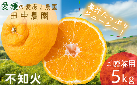 不知火 しらぬい 約5kg 【ご贈答用】【2月下旬から順次発送】でこぽんと同品種 柑橘類 先行予約 フルーツ 柑橘類 先行予約 果物 フルーツ みかん シラヌイ 人気 おすすめ 愛媛 松山 田中農園【TNN0011】
