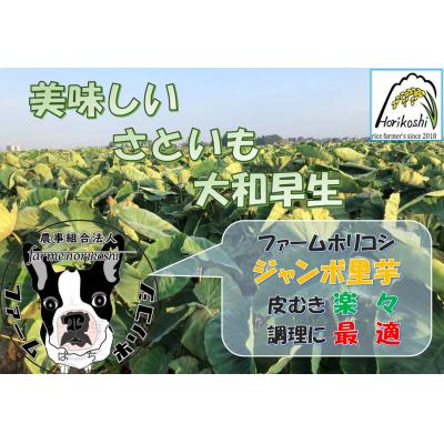 ふるさと納税 阿賀野市 阿賀野市産 さといも 「ファームホリコシ皮付き里芋」 サイズ混合 5kg |  | 01