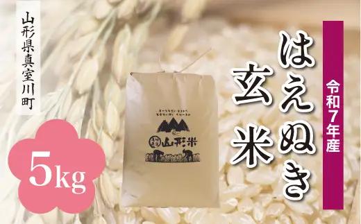 ＜令和7年産米＞真室川町産 はえぬき 【玄米】 5kg （5kg×1袋）　◆KR7H05M-G9999