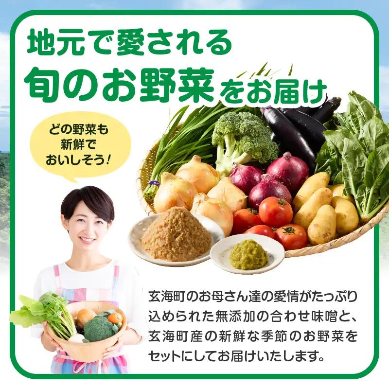 手作り合わせ味噌と新鮮野菜セット ／ 野菜【A095】