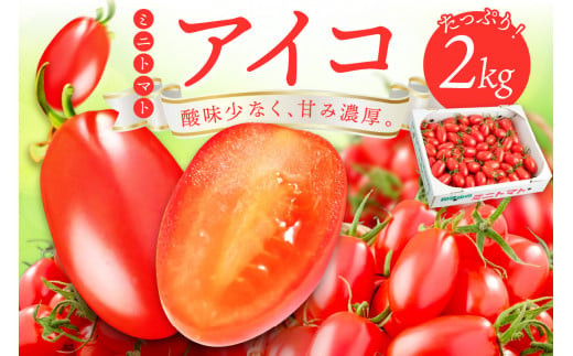 
            ミニトマト ( アイコ ) 2kg トマト とまと 糖分 高い 酸味少ない 甘味凝縮 サラダ スパゲティ パスタ 人気 期間限定 
          
