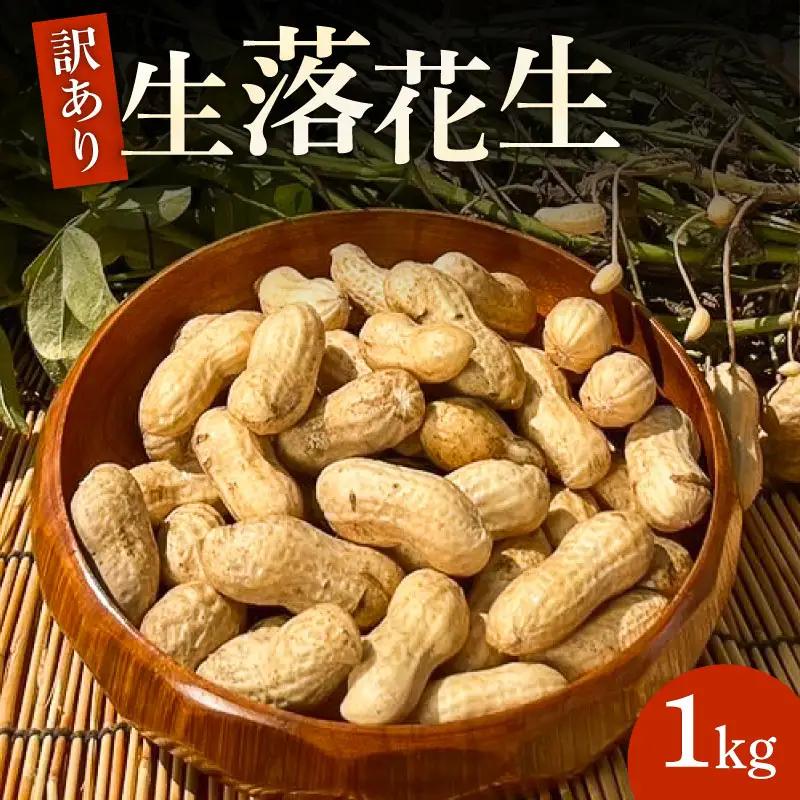 訳あり 落花生 8月～11月発送 (約1kg) | 京都府久御山町 落花生