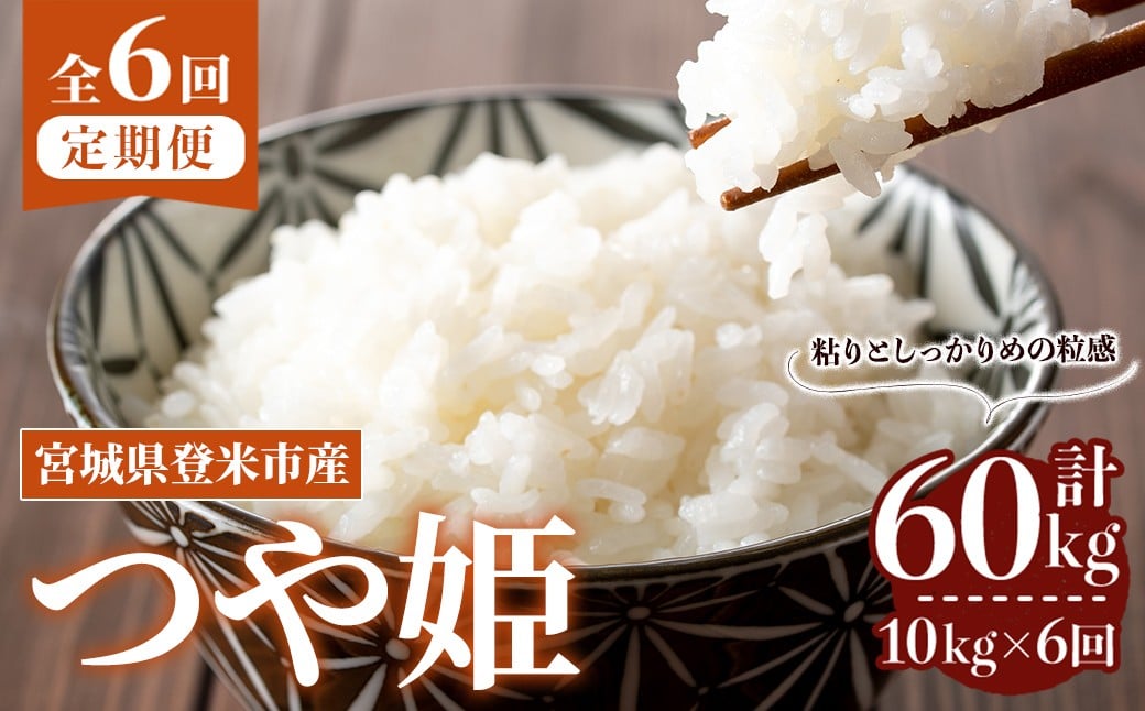 
            ≪令和7年産≫【6回定期便】つや姫 計60kg (10kg×6回配送) 登米市産 お米 おこめ 米 コメ 白米 ご飯 ごはん おにぎり お弁当 6か月 頒布会【登米ライスサービス株式会社】tm459
          