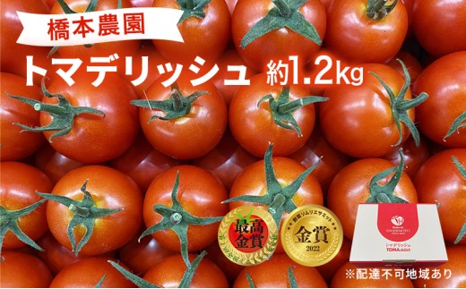 
フルーツ トマト ［2024年先行予約］ トマデリッシュ 約1.2kg 橋本農園 岡山
