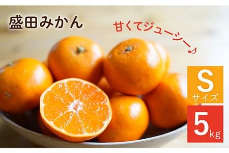 【数量限定】盛田みかん Sサイズ 約5kg（50-60個前後）ー2025年12月より発送ー 長与町/山口農園 [EBI001]  盛田 もりた みかん 柑橘 果物 くだもの フルーツ 季節限定 先行予約 数量限定 希少 稀少 温州みかん ミカン 5kg 産地直送 長崎県産 長与町