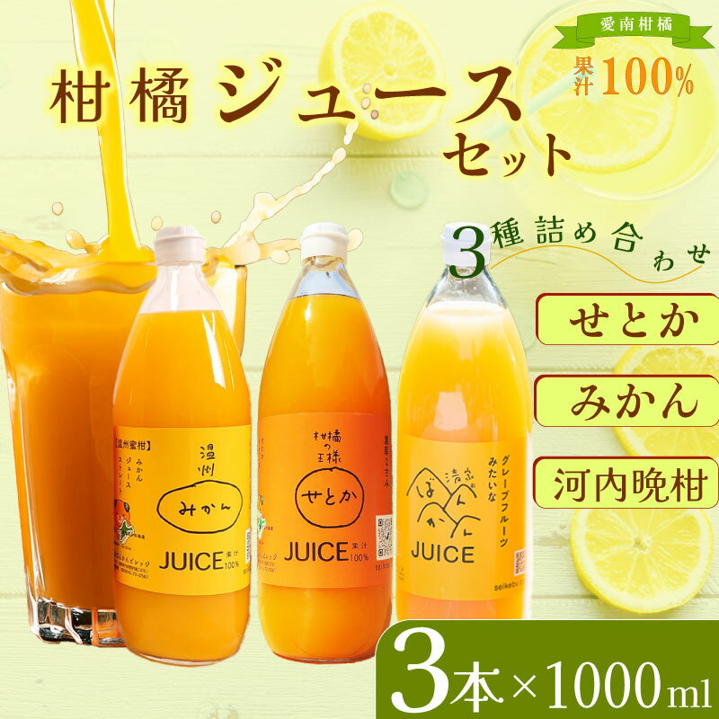 【ふるさと納税】柑橘ジュース セット 3本×1000ml 100% せとか 温州 みかん 河内晩柑 ストレートジュース 柑橘 詰め合わせ3本 100% せとか 温州 みかん 河内晩柑 柑橘 蜜柑 かんきつ 冬 秋 旬 正月 愛媛 愛媛県 愛南町 お歳暮 プレゼント ギフト 高級清家ばんかんビレッジ