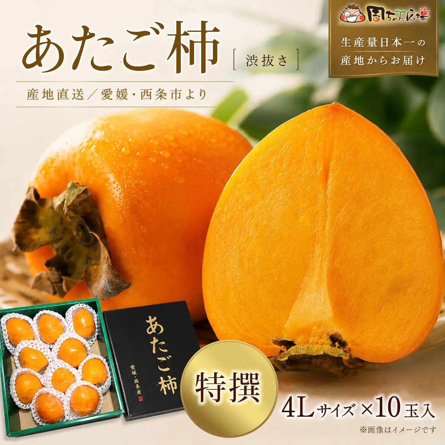 【12月発送】愛媛県西条産 「あたご柿」渋抜き柿 特撰4Lサイズ×10玉入