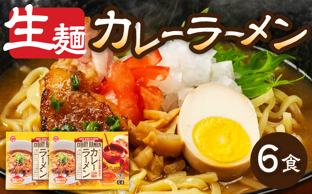
                  カレーラーメン 3食（100g×3 スープ付）×2箱  計6食【丸中製麺所】ラーメン 自家製麺 飛騨 下呂市 カレー 生麺 生めん 
                