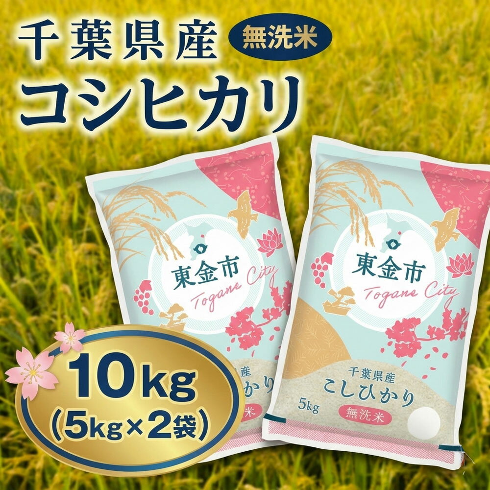 【ふるさと納税】 令和7年産 千葉県産 コシヒカリ 10kg 無洗米（5kg×2袋） お米 米 白米 こしひかり ごはん ご飯 おこめ okome kome むせんまい 国産 精米 おすすめ 美味しい 肉 にあう 魚 にあう 炊飯 おむすび おにぎり ギフト 贈答 お取り寄せ 鍋屋商店 千葉県 東