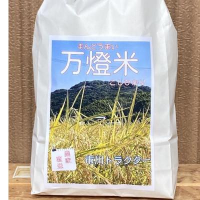 ふるさと納税 西尾市 令和6年産＜万燈米＞【こしひかり 3.5kg×2袋 】・I027-13-1 |  | 01