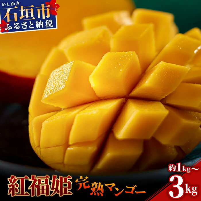 【ふるさと納税】先行予約【数量限定】内容量を選べる「紅福姫ブランド」石垣島のマンゴー 約1〜3kg【沖縄県 石垣市 産地直送 旬 石垣島産 マンゴー 完熟マンゴー アーウィン種マンゴー】