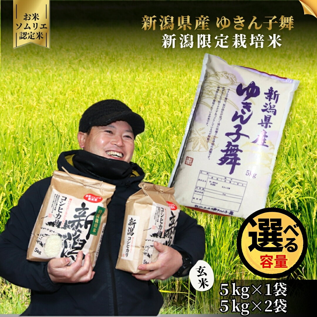 【ふるさと納税】【先行予約】令和8年産【お米ソムリエのお米】ゆきん子舞 玄米 5kg or 10kg（5kg袋）五泉市四ヶ村産 米 お米 新潟県 五泉市 エバーグリーン農場