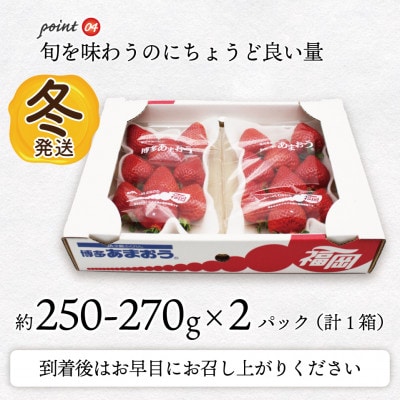 【2025年12月～2026年1月発送】博多あまおう(冬)(250g-270g)×2パック(岡垣町)【配送不可地域：離島・北海道・沖縄県】