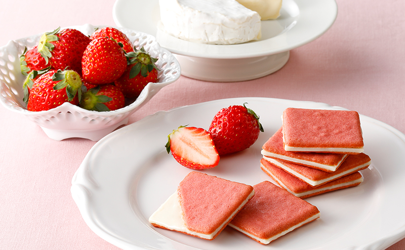 お菓子 詰め合わせ 【フランセ】 レモンケーキ 1箱8個入×3箱・ビスキュイ 9枚入×2箱 セット ケーキ 個包装 スイーツ 洋菓子 菓子 おやつ デザート レモン ストロベリー クッキー サンド