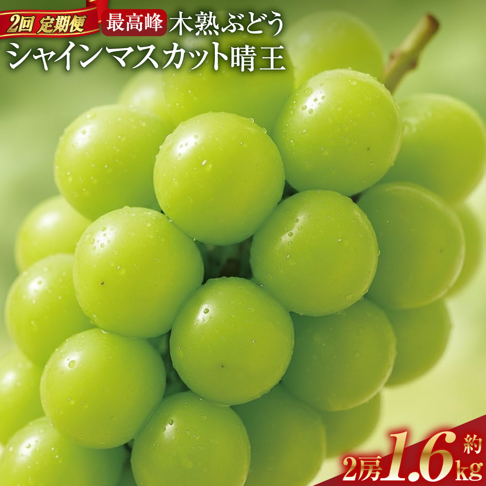 【ふるさと納税】【2回定期便】最高峰プレミアム 木熟ぶどう ハレノシャイン シャインマスカット晴王 1回あたり2房（合計約1.6kg以上） 赤秀品以上 岡山県産 船穂産 ぶどう ブドウ 葡萄 フルーツ くだもの 果物 果実 冷蔵 国産 送料無料 【2026年9月上旬より発送開始】