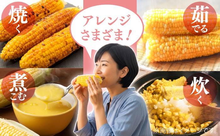 高糖度 どるちぇどりーむ 糖度 コーンスープ 甘さ コーン おやつ BBQ バター焼き 野菜 とうもろこし  糖度 菊陽町