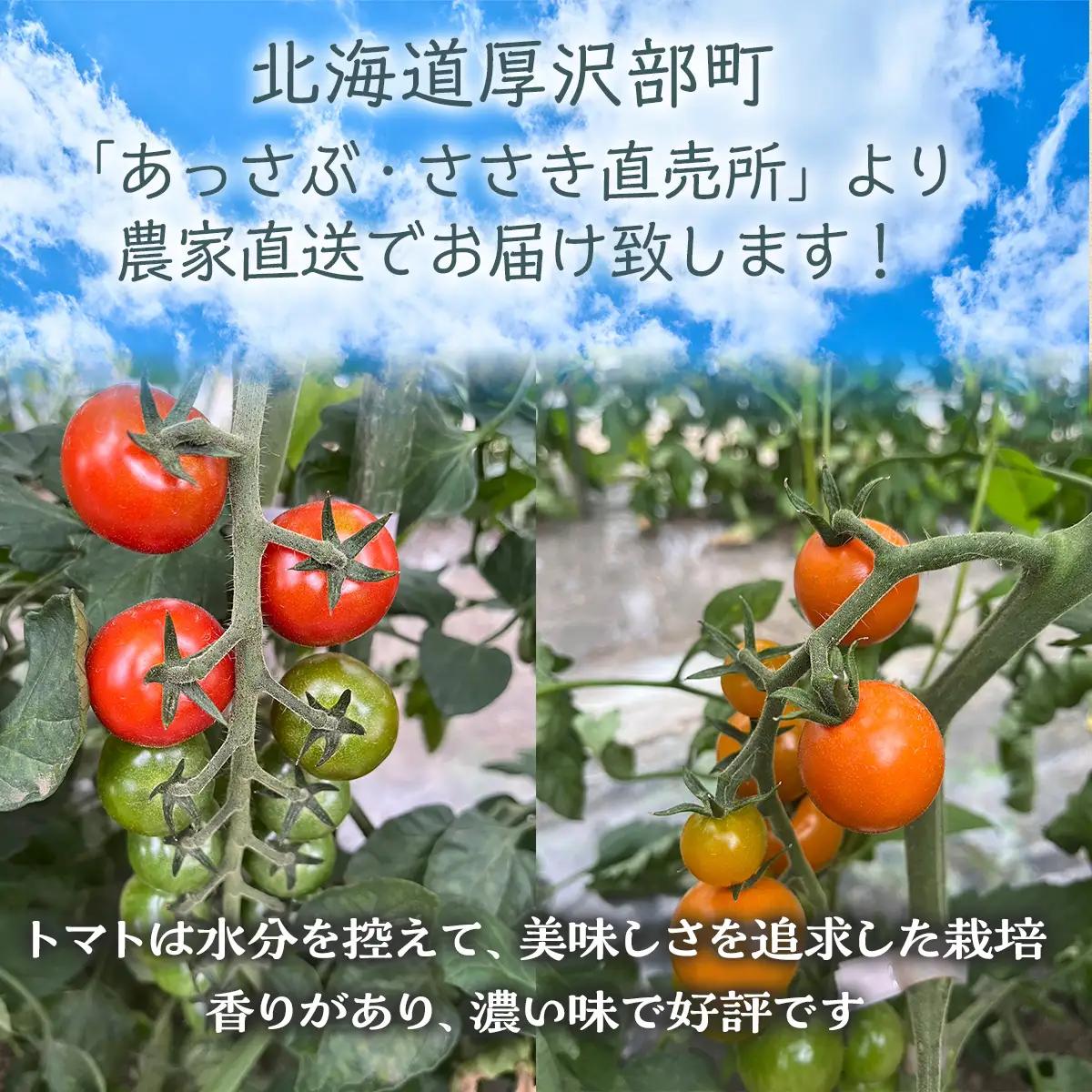 【2026年7月中旬より発送】トマト詰合わせ（大玉・フルーツトマト・ミニトマト）約4kg ASO005