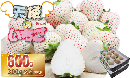 佐賀県産いちご 天使のいちご（白いちご）300gx2パックセット TM 農家 直送品 B175-004