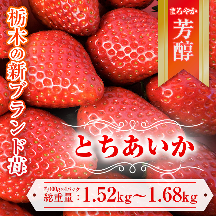 
            【先行予約】とちあいか 約380g～420g×4パック | いちご イチゴ 苺 栃木 とちあいか 新種 甘い 糖度 ハート型 フルーツ 果物 スイーツ いちごジャム ギフト 産地直送 ※離島への配送不可 ※2026年1月中旬～3月下旬頃に順次発送予定
          