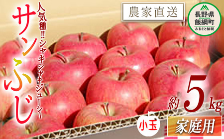 りんご サンふじ 家庭用 ( 小玉 ) 5kg 松橋りんご園