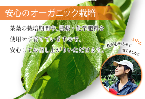 杜仲茶 オーガニック ティーバッグ 24包×3袋