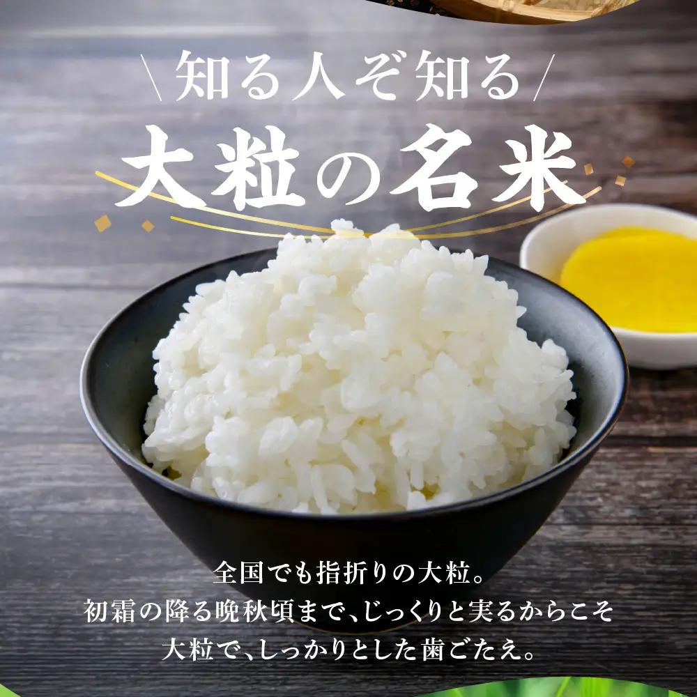 【令和7年度産】精米 ハツシモ 10kg｜ハツシモ