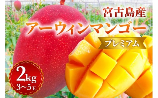 【プレミアム】宮古島産マンゴー2kg ＜リトルグローブ＞（LT006）