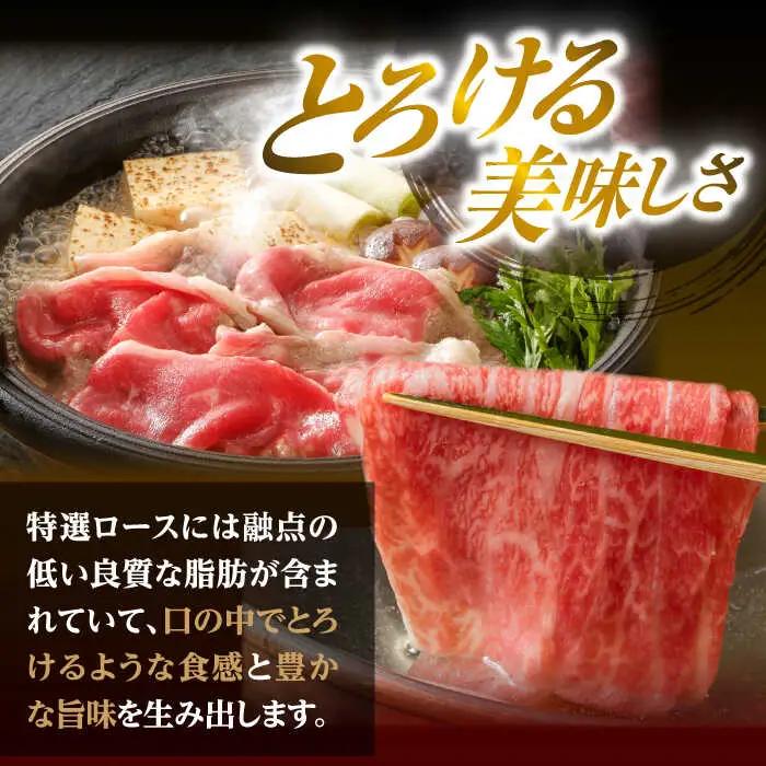 長崎和牛 牛肉 シャブシャブ すき焼き用 計600g[FG01] 牛肉 シャブシャブ すき焼き