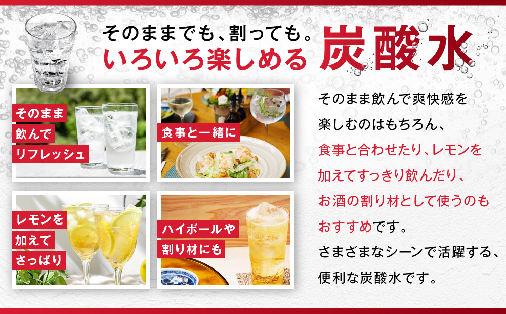 【定期便6か月】アサヒ 炭酸水 ウィルキンソンタンサン ペットボトル 500ml 1ケース×6か月
