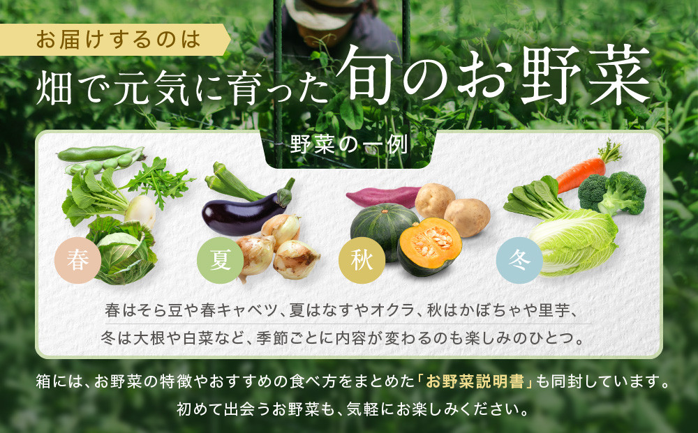【先行予約 2027年5月より発送】【全3回定期便】農家からお届け！旬のお野菜たっぷり8種セット