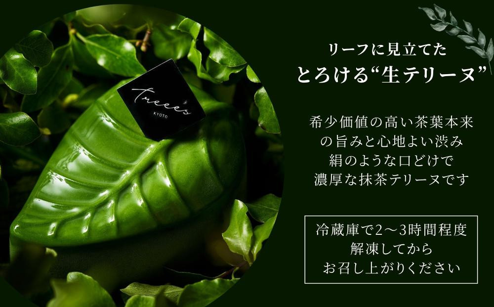 【TREEE’S】抹茶テリーフ｜京都 スイーツ ブランド 人気 抹茶スイーツ [ 抹茶生テリーヌ リーフ型チョコテリーヌ ワインソムリエが作るチョコレート オーガニック グルメ おすすめ 贅沢 ご褒美