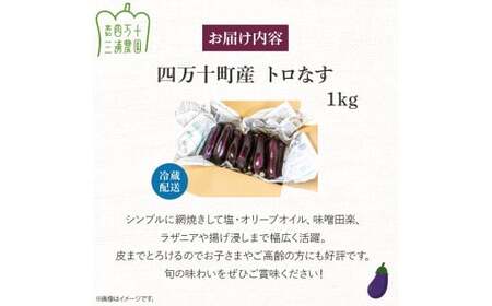 【予約受付】【期間限定】 焼いてトロける！三浦農園のトロなす1kg 栽培期間中農薬・化学肥料不使用 ／Fms-15 農産物 新鮮 焼きナス 野菜 大量 