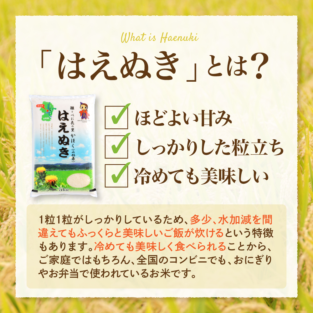 【令和7年産米】2026年4月下旬発送 はえぬき20kg（5kg×4袋） 山形県産 【JAさがえ西村山】
