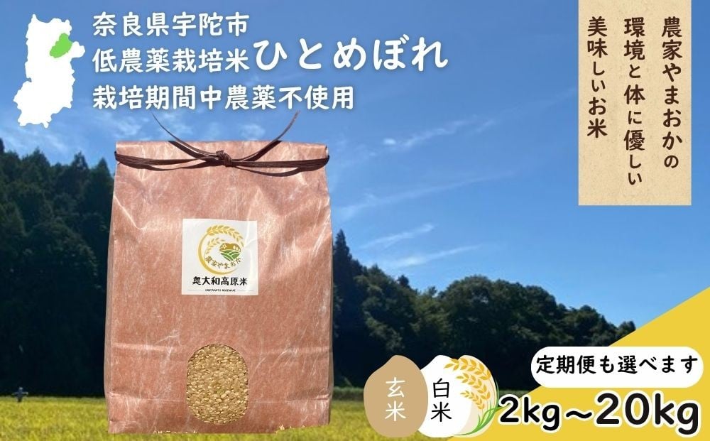 
                  ひとめぼれ 低農薬栽培＜令和7年産 選べる!! 玄米 / 白米 / 配送回数 / 容量＞ / ふるさと納税 低農薬 米 お米 こめ コメ 国産 新米 玄米 一等米 農家やまおか 奈良県 宇陀市陀市 ふるさと納税
                