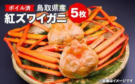 ＜10/1～寄附額改定＞ 鳥取県産 ボイル 紅 ズワイガニ 5枚セット※着日指定不可※離島への配送不可※2026年2月上旬～4月下旬頃に順次発送予定 | ズワイガニ