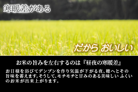 【定期便 24回 竹コース】 坂井市産コシヒカリ 10kg×24回 計240kg ～驚愕のコシヒカリ2年分～【限定10セット】【Q-3251】