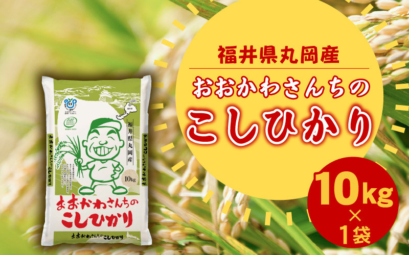 
            おおかわさんちのこしひかり 10kg 【令和7年産】 コシヒカリ こしひかり 白米 米 お米 kome 10キロ 精米 ブランド米 ごはん ご飯 おいしい 人気 産地直送 国産 [B-10802]
          