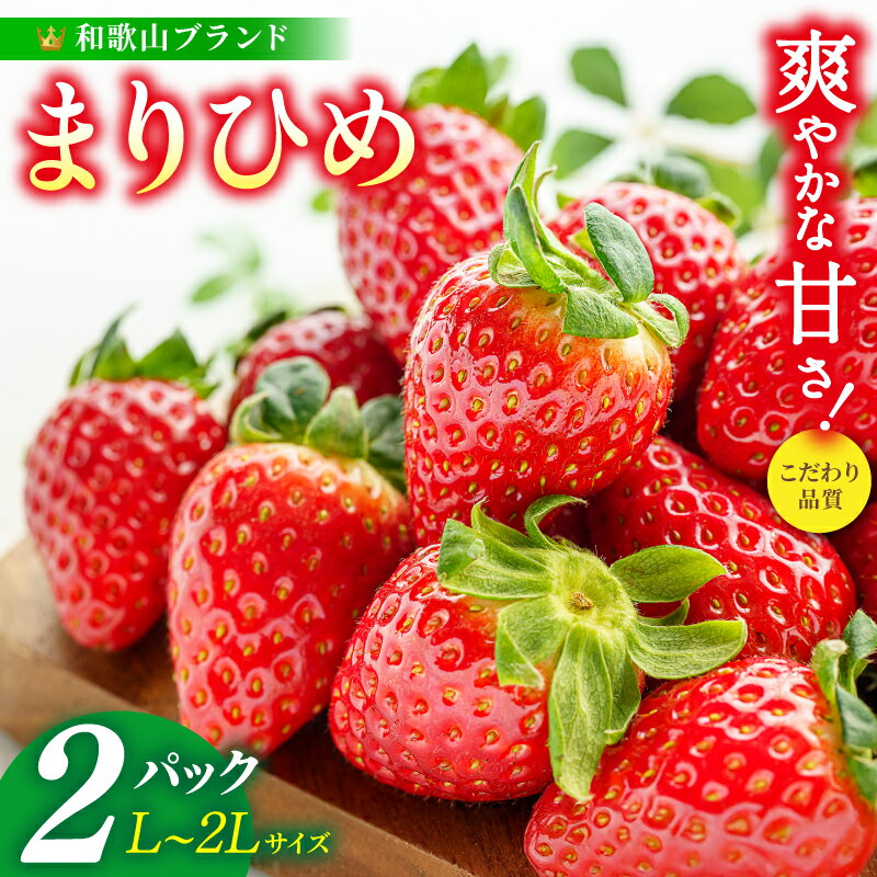 【ふるさと納税】 まりひめイチゴ L〜2L 12粒〜15粒×2パック【2027年1月中旬～3月下旬頃に順次発送】【先行販売】【KG7】