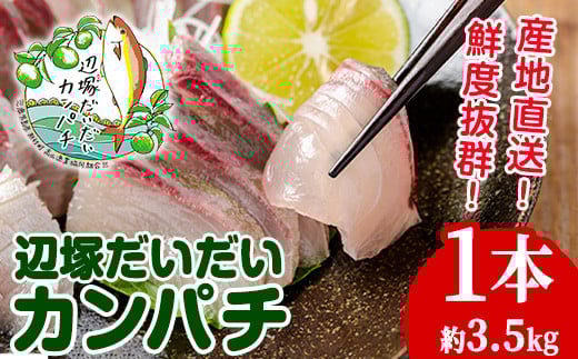
                  B08002 産地直送！辺塚だいだいカンパチ(約3.5kg・1本) 鹿児島 国産 九州産 産地直送 カンパチ 勘八 魚 魚介 鮮魚 おかず 海産物【高山漁業協同組合】
                