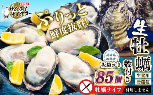 牡蠣 生食 坂越かき 殻付き85個