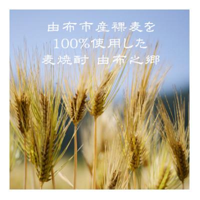 ふるさと納税 由布市 【毎月定期便】【ゆふの蔵元直送】湯布院をご自宅に。地産麦焼酎 3本セット全6回 |  | 01